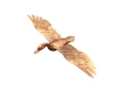 Flight study of birds in the sky Stock Illustration