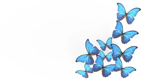 Flight of summer blue butterflies. butterfly on a light background. 3d render Stock Illustration