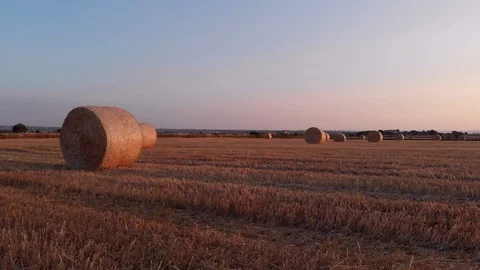 Flight at sunrise between bales in a wheat field, Sicily, Italy, 4K Stock Footage 111576438