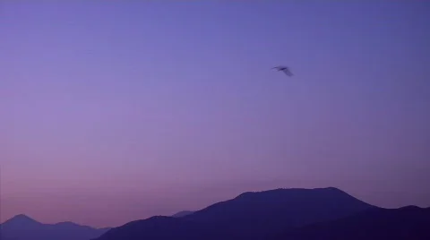 Flight into the sunset Stock Footage 725912