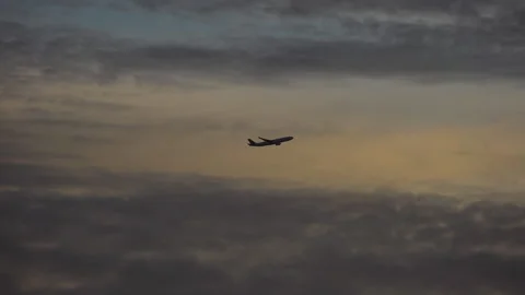 Flight Takes off in the Evening Stock Footage 236457895