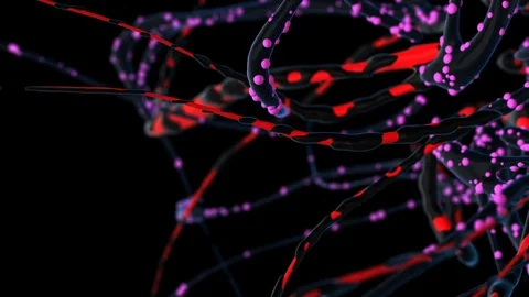 Flight though a highly detailed neural network. Stock Footage 75383917