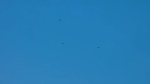 Flight of three dragonflies. Four wings of work.sometimes synchronously, Stock Footage 330894311