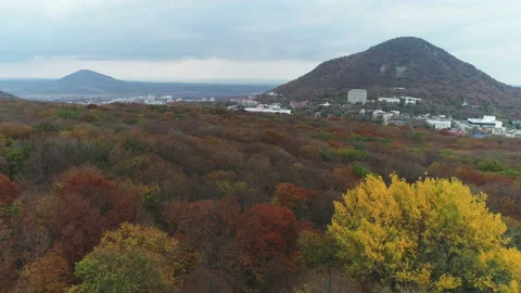 Flight through the autumn forest towards the city Video stock 153068296