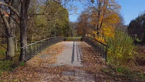 Flight through autumn park 스톡 동영상 112412851