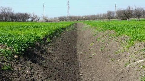 Flight through a channel between two fields Stockbeeldmateriaal 127649680