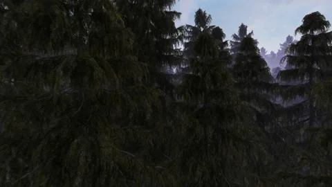 Flight through the evening forest forest. Stock Footage 141071162