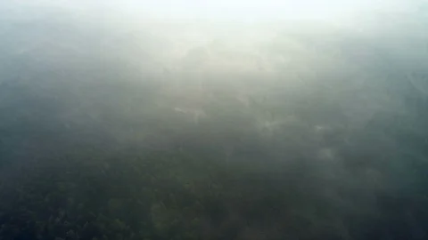 Flight Through Fog and Clouds Above Forest, Aerial View Stock Footage 88375288