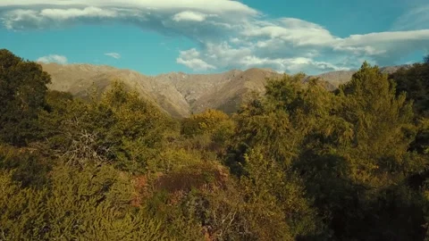 Flight through forest with mountains at the back in Cordoba, Argentina. Stock Footage 159571612