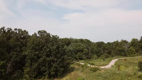 Flight Through Forest Path in the Daylight Video stock 280872535