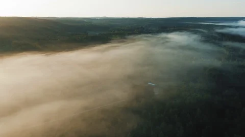 Flight through misty forests, aerial view Video stock 111646885