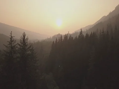Flight Through Mountain Valley and Trees during Golden Hour Видео 81313485