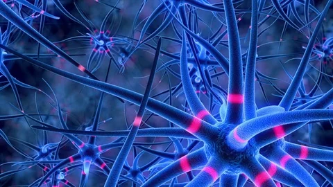 Flight through the nerve cells Stock Footage 72952614