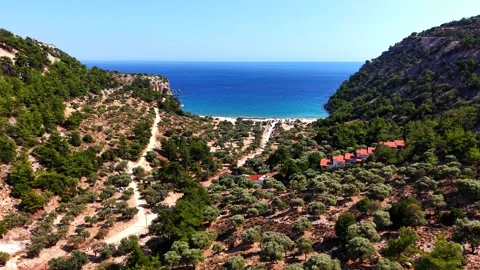 Flight through an olive valley towards the sea near Livadi, Thassos Stock Footage 347174150