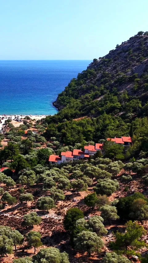 Flight through an olive valley towards the sea, Thassos, vertical Stock Footage 347178375