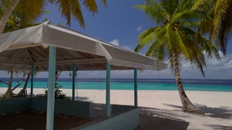 Flight through palm trees over coastal path towards bay. Stock Footage 320286336