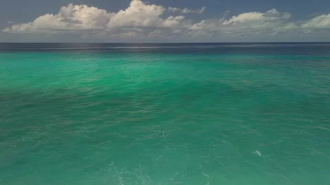 Flight through palm trees over coastal path towards bay. Stock Footage 321994179