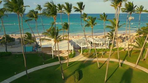 Flight through palm trees to a tourist beach and the ocean with vacationers Vidéo 306557448
