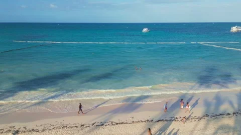 Flight through palm trees to a tourist beach and the ocean with vacationers Stock Footage 309943249