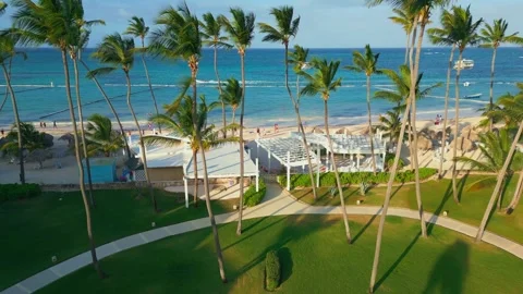 Flight through palm trees to a tourist beach and the ocean with vacationers Stock Footage 309943365
