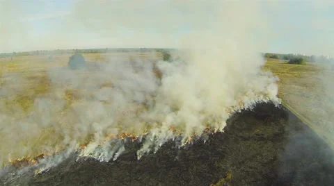 Flight through smoke from a fire in a field. Aerial view Stock Footage 41975953