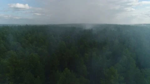 A flight through the smoke of forest fire in Siberia. Stock Footage 168329599