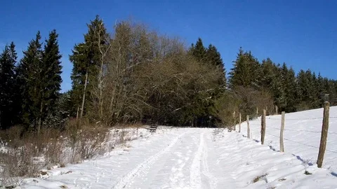 Flight through a snowy landscape in the sun Stock Footage 85637704