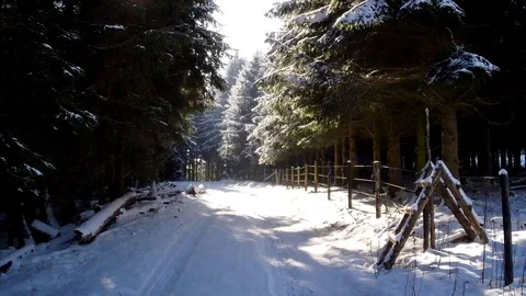 Flight through a snowy landscape in the sun Stock Footage 85637843