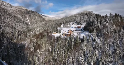 Flight through spruce forest trees revealing snow-covered mountains and houses Stock Footage 205093985
