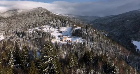Flight through spruce forest trees revealing snow-covered mountains and houses Video stock 205096961
