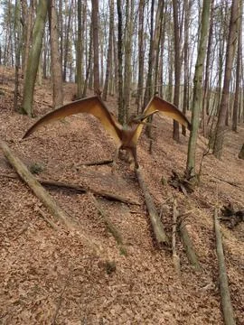 Flight Through Time Stock Photos