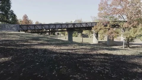 Flight Through Tree Branches and Over a Bridge 스톡 동영상 145570227
