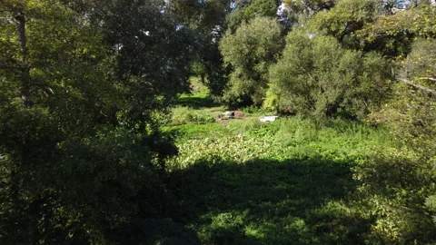 A flight through trees to the clearing of a small farm 스톡 동영상 220441958