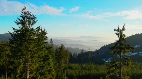 Flight through the trees to the mountains Stock Footage 304433871
