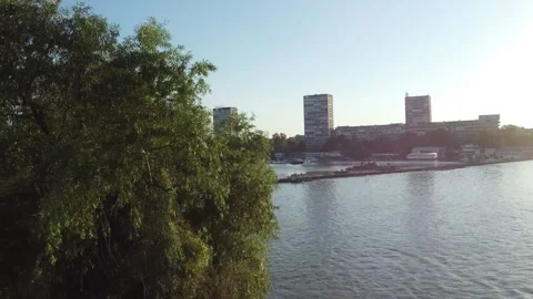 Flight through trees to the river Stock Footage 255910103