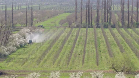 Flight throw the garden Stock-Footage 94721508