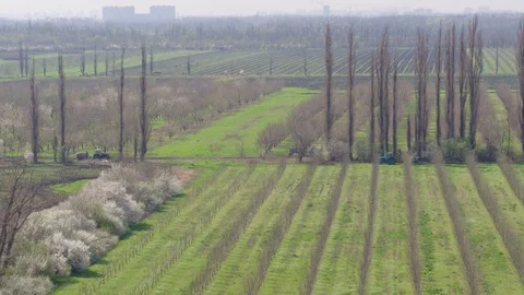 Flight throw the garden Stock-Footage 94722346