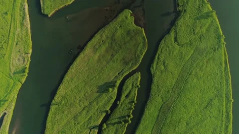 Flight top down green field river delta branch Planet earth epic lungs nature Stock Footage 145591791