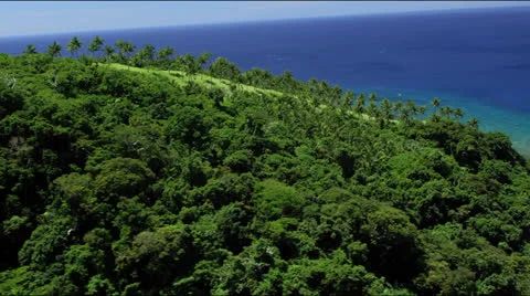 Flight towards the Pacific over rain forest and palm trees Stock Footage 25401669
