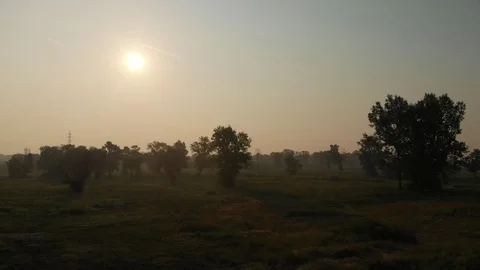 Flight towards tree with beuatiful background and sunrise Stock Footage 115081099