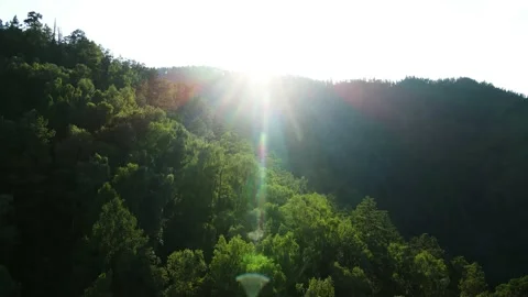 A flight of trees against the background of backlight. The mountains are covered Stock Footage 168412372