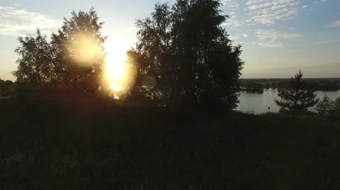 Flight from the trees offer a beautiful view of the river. Video stock 64805529