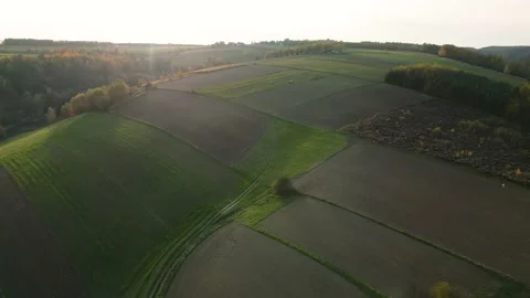 Flight under the field Stock-Footage 223262336