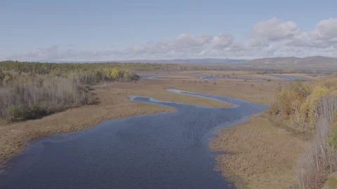 Flight under forest and river Vídeo Stock 94723952