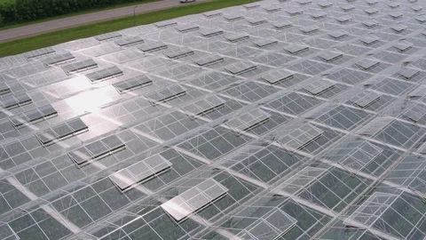 Flight under greenhouse Stock-Footage 94724634