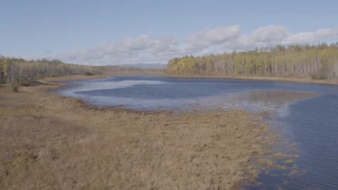 Flight under lakes Stock-Footage 94723746