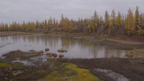 Flight under mountain forest and lake Vídeo Stock 94723250