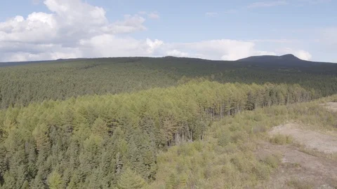 Flight under mountain forest Stock-Footage 94722998