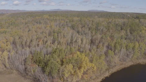 Flight under mountain forest Stock-Footage 94723052