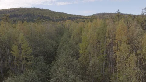 Flight under mountain forest 스톡 동영상 94723203